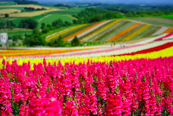 12大北海道親子好去處｜北海道自由行親子遊景點全攻略