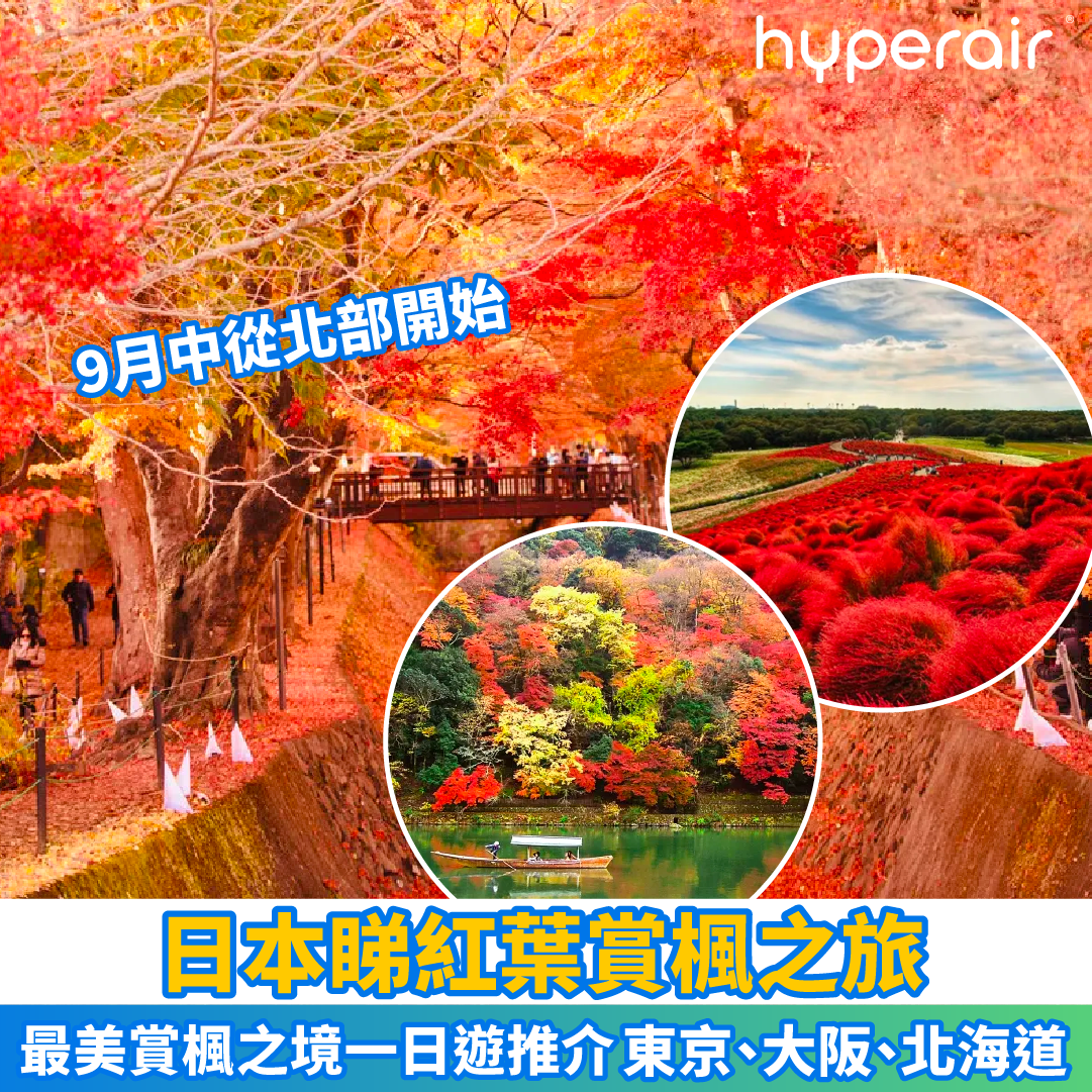 【日本睇紅葉賞楓之旅】走進日本最美賞楓之境 | 細閱秋天的楓葉仙境