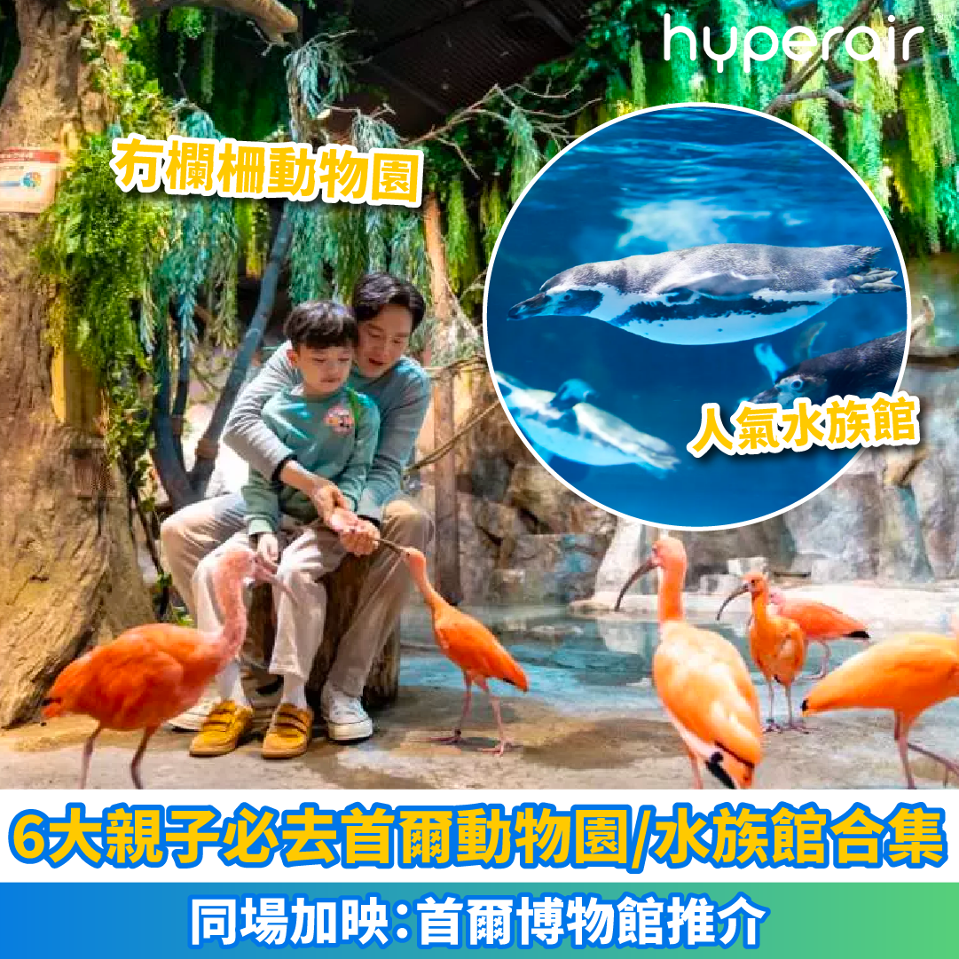 6大親子必去首爾動物園/水族館合集｜同場加映：首爾博物館推介