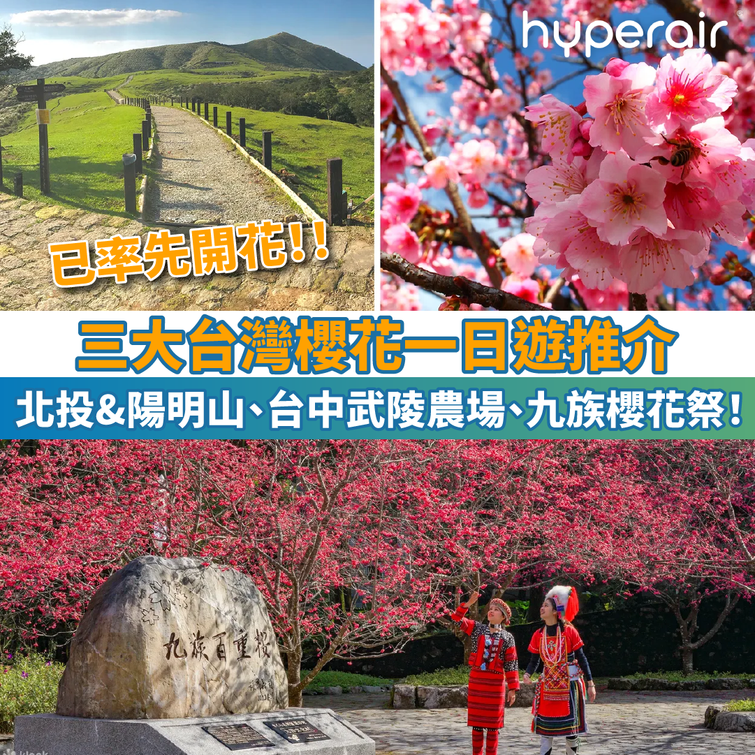 【三大台灣櫻花一日遊】北投&陽明山、台中武陵農場、九族櫻花祭！